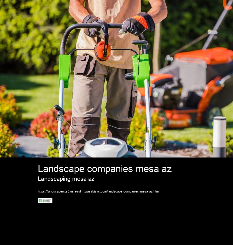 Landscape companies mesa az