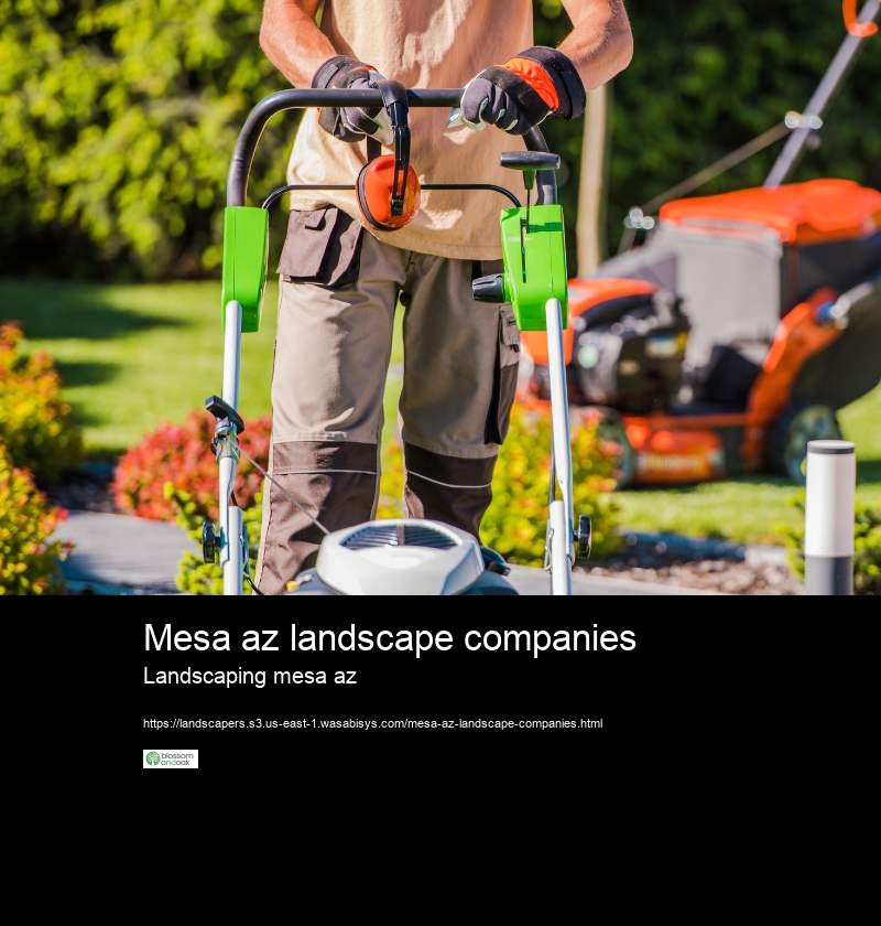 Mesa az landscape companies