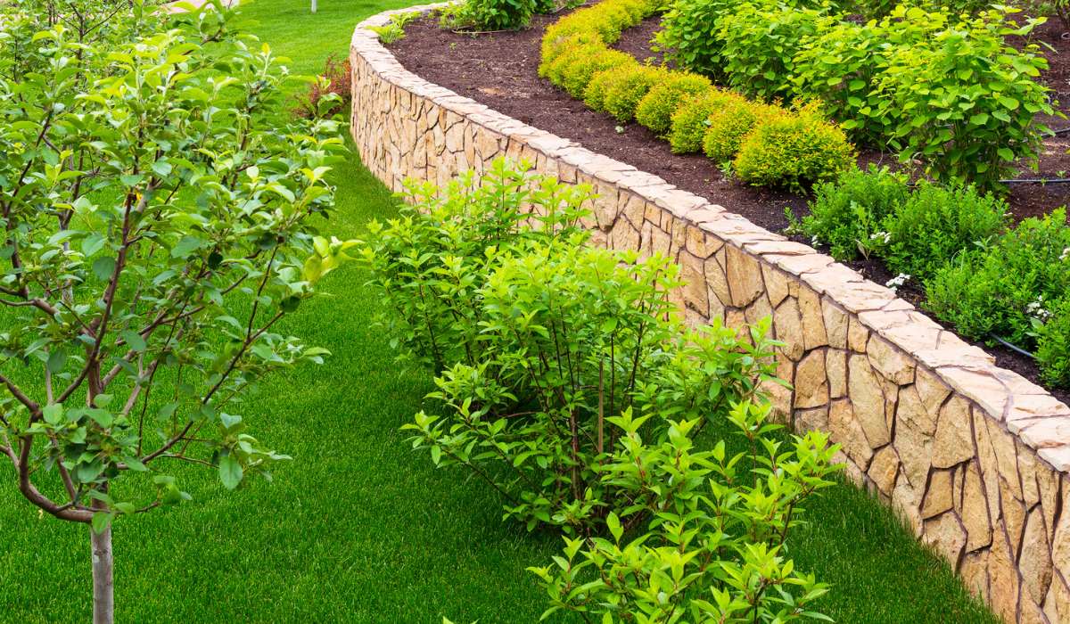 Landscape companies in mesa az